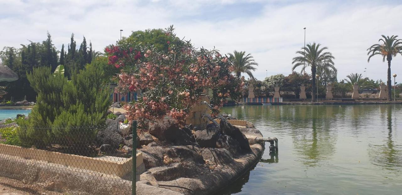 Schoene Wohnung Mit Pool , Wi-Fi Und Privat Garage Torrevieja Exterior foto
